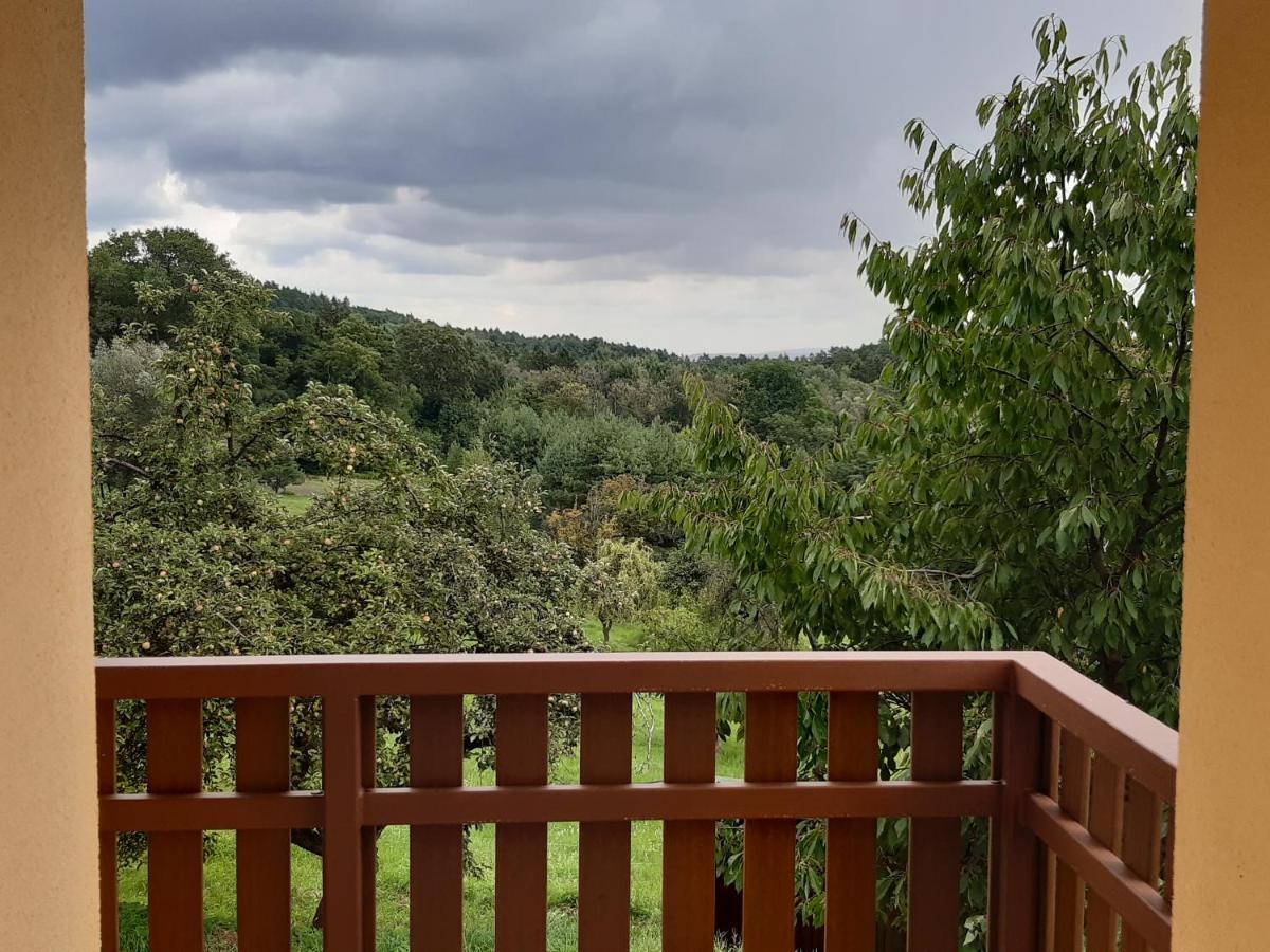 Apartmany U Zvonicky Prachov Εξωτερικό φωτογραφία